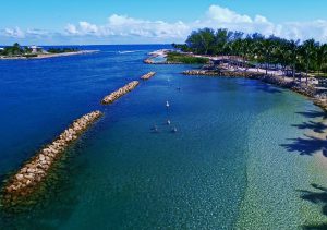 The Palm Beaches TV