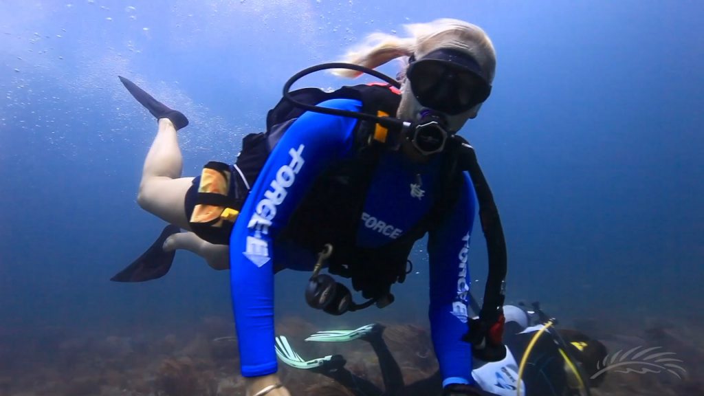 Diving in the Palm Beaches