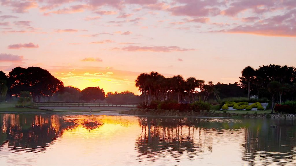 On the Town in the Palm Beaches Palm beach Gardens