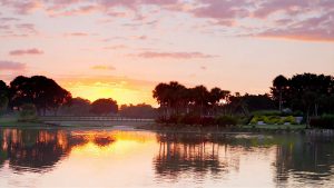 On the Town in the Palm Beaches Palm beach Gardens