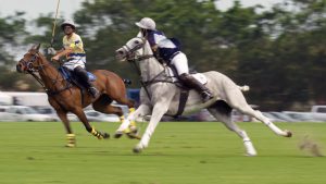 World Class Polo