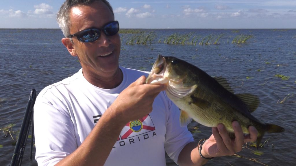 Hooked on the Palm Beaches Bass Bust